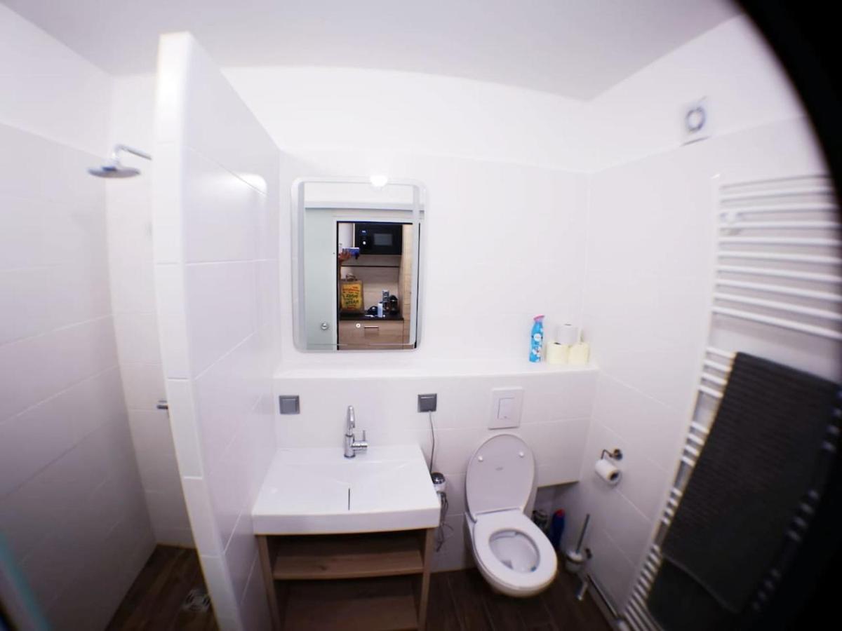 Appartement Mit Doppelbett Oder 2 Einzelbetten Bad Aussee Εξωτερικό φωτογραφία