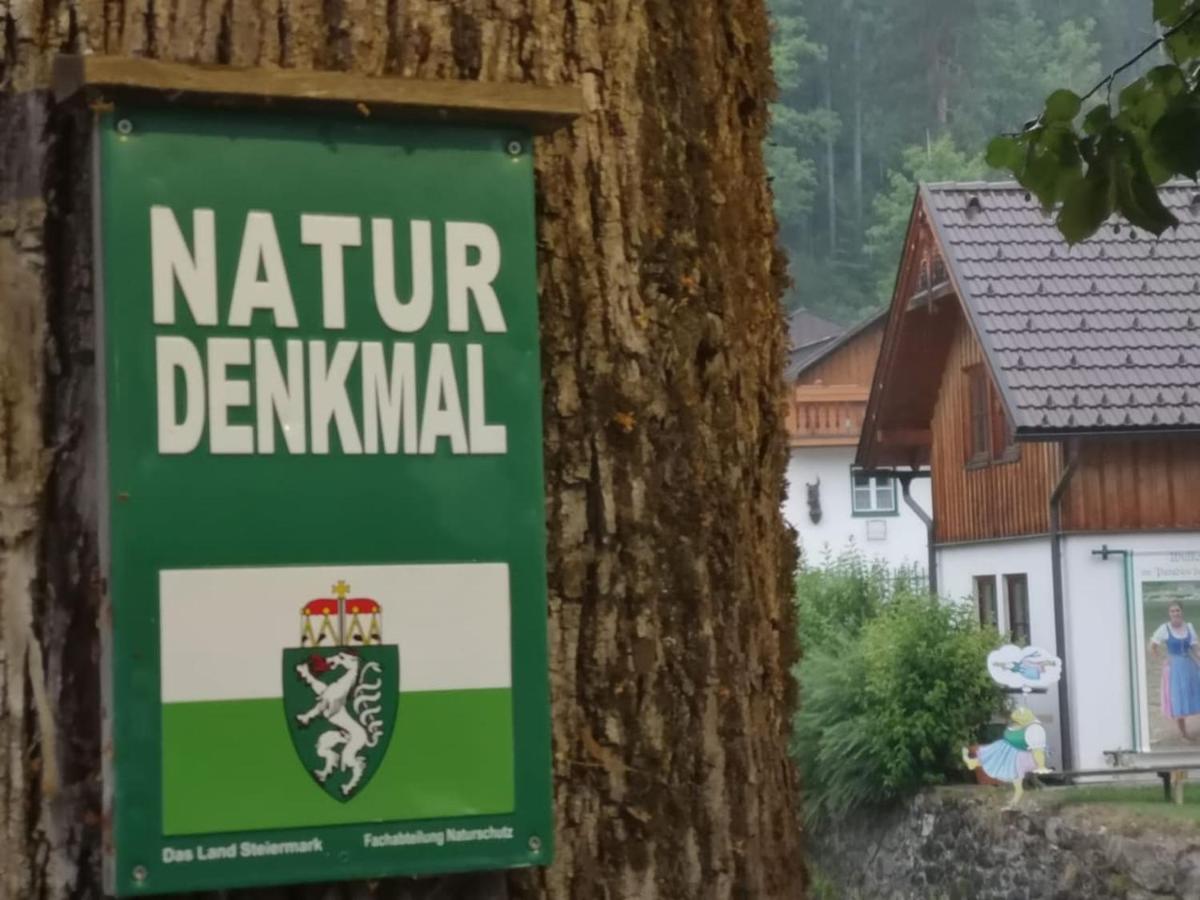 Appartement Mit Doppelbett Oder 2 Einzelbetten Bad Aussee Εξωτερικό φωτογραφία